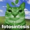 fotosintesis