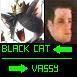Vassy-Black cat