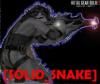 [Solid_Snake]