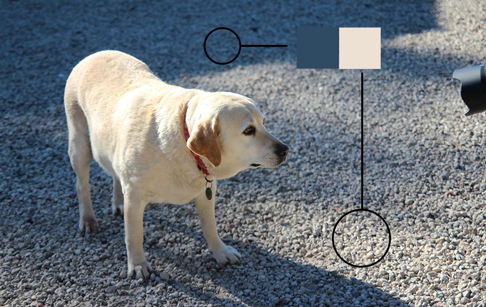 Fig. 5: Sky light and ambient light example